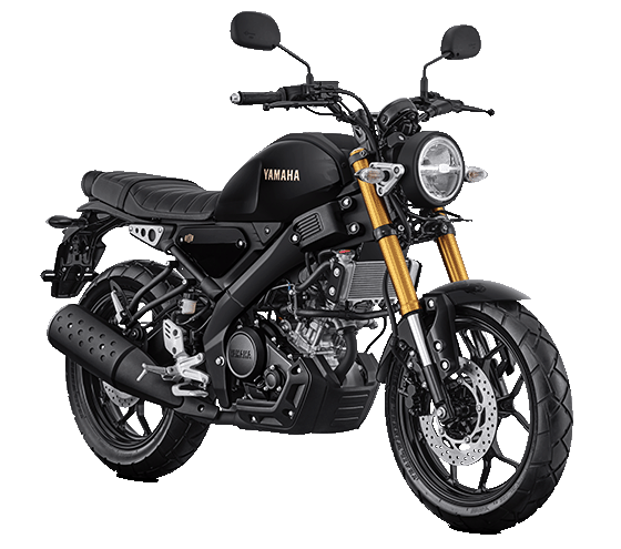 Yamaha XSR - Image 2